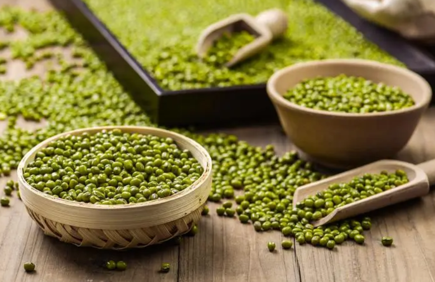 绿豆几天开花几天结果