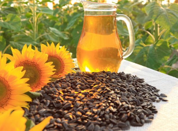 太阳花籽油的功效