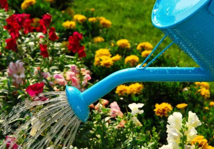 烟水浇花多了花会死吗