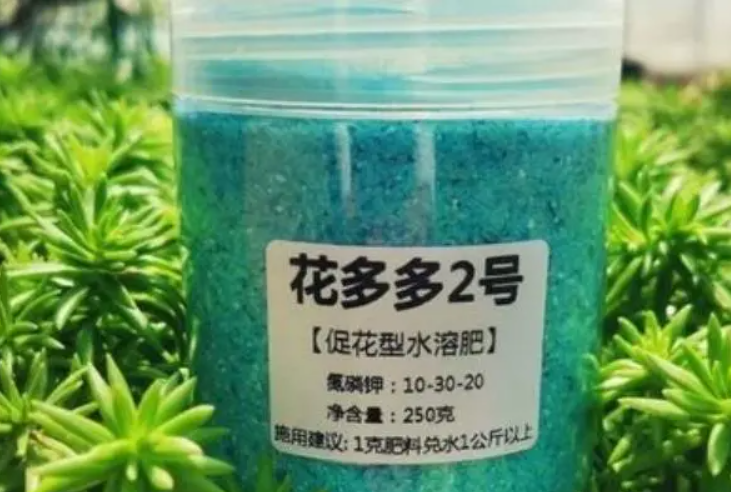 花多多2号溶于水后为无色