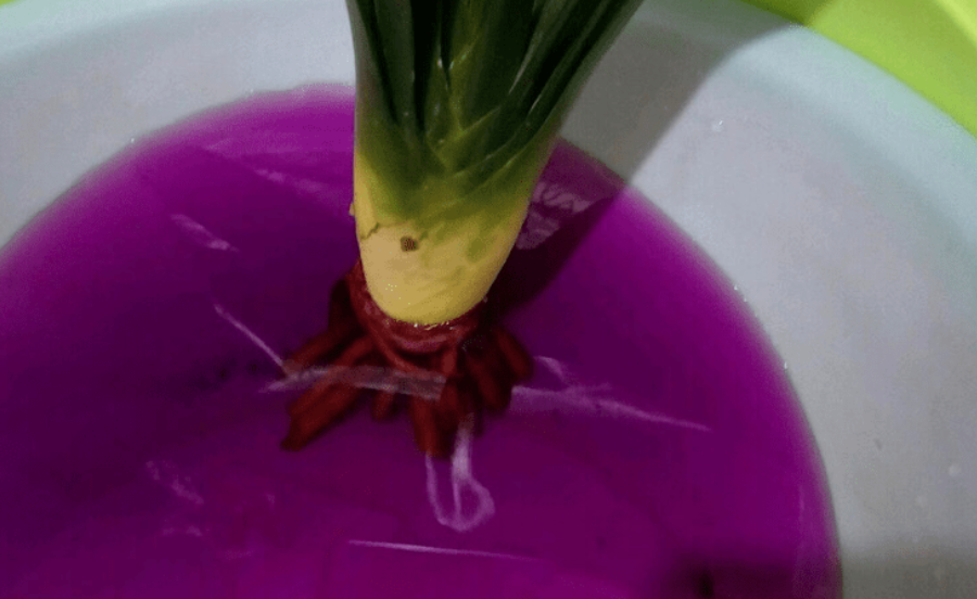 高锰酸钾泡花根的浓度