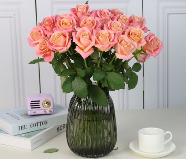 用水养玫瑰花的方法