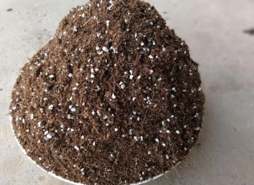 10斤营养土可以装几个花盆