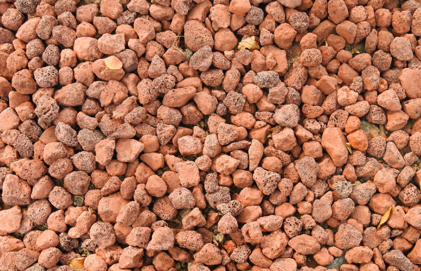 火山石适合种什么花