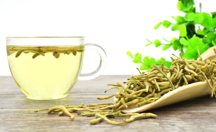 金银花茶可以天天喝吗