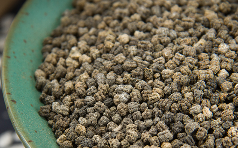 蚕沙可以直接放土里养花吗