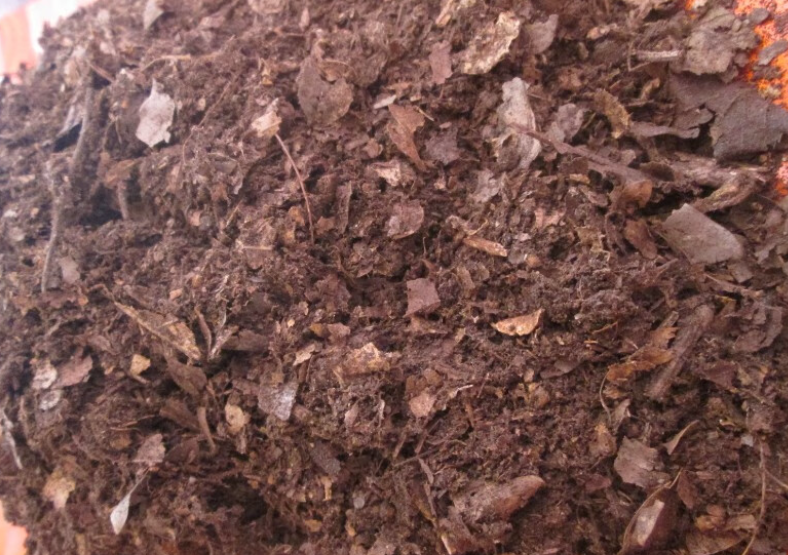 家庭养花用什么土