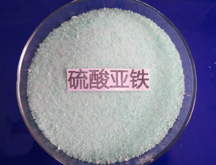 家庭养花怎样使用硫酸亚铁