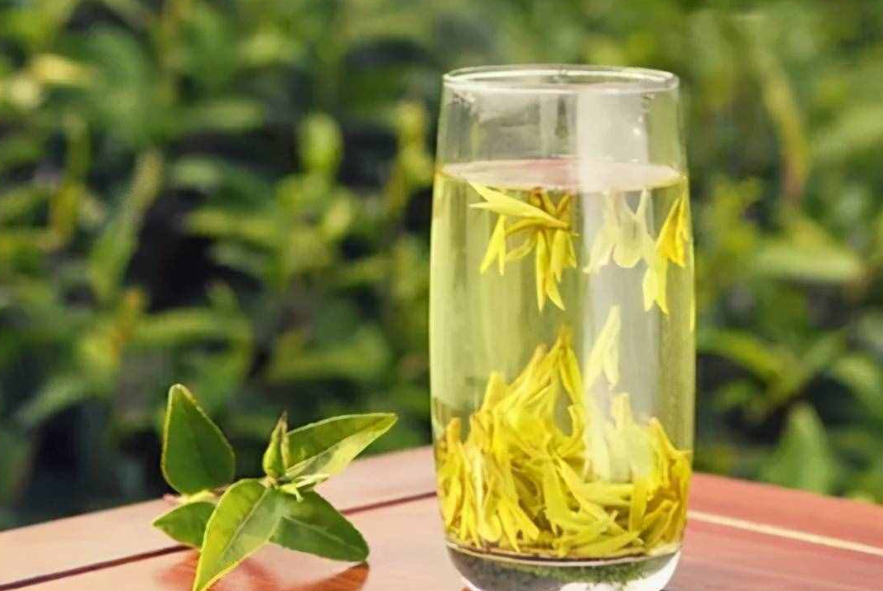 泡过的茶叶可以当花肥吗