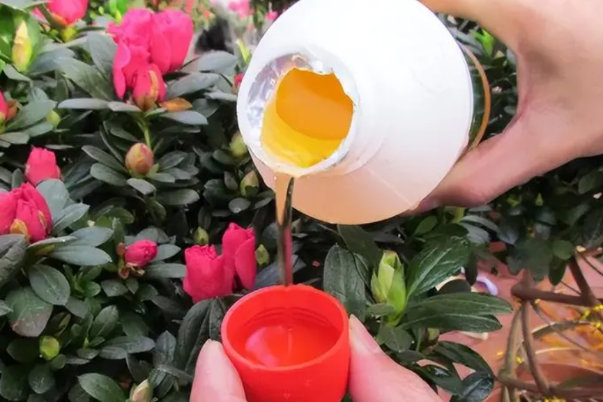 养花的营养液怎么使用