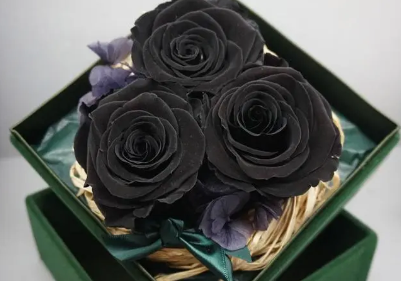 黑魔术玫瑰的花语