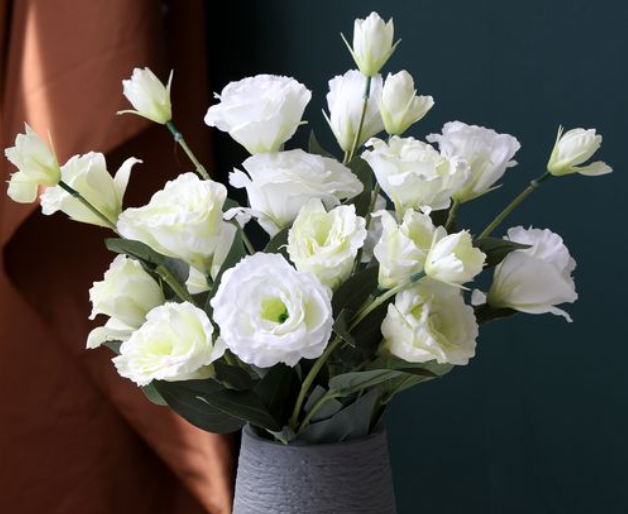 洋桔梗从播种到开花要多久