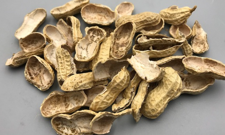 发酵花生壳可以养什么花