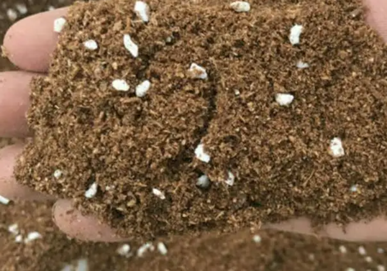 用木屑种花可以吗?