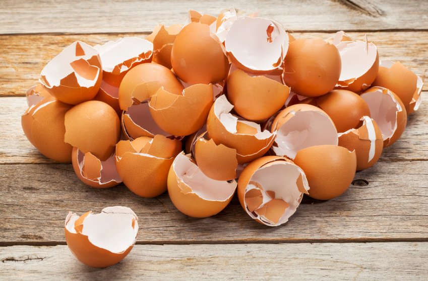 鸡蛋壳做花肥的步骤