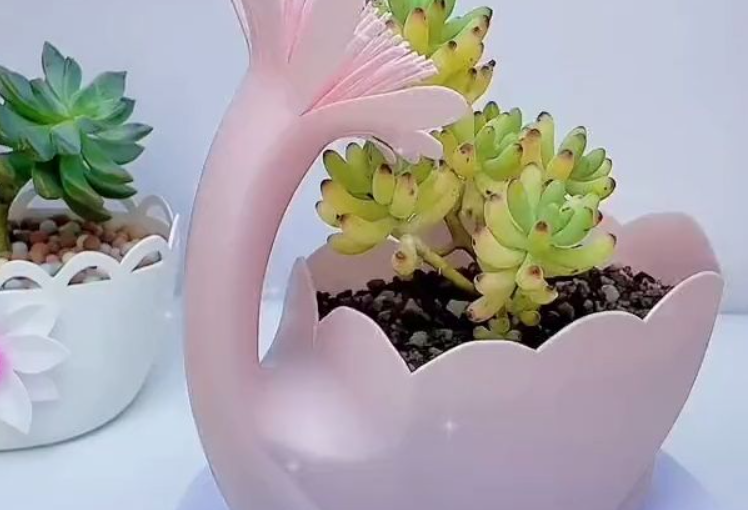 手工洗衣液瓶花盆教程