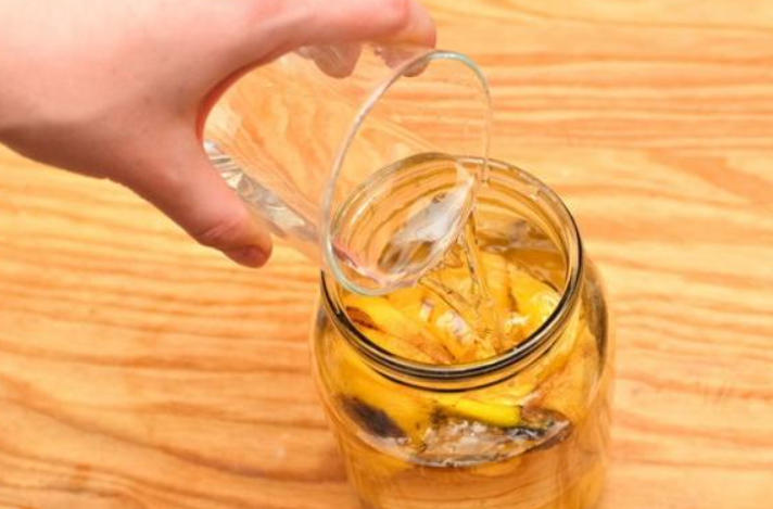 香蕉肥料适合什么花