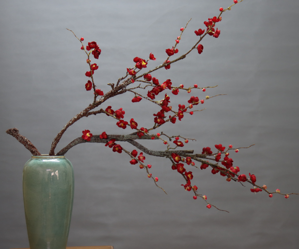 干枝花可以泡水里养吗