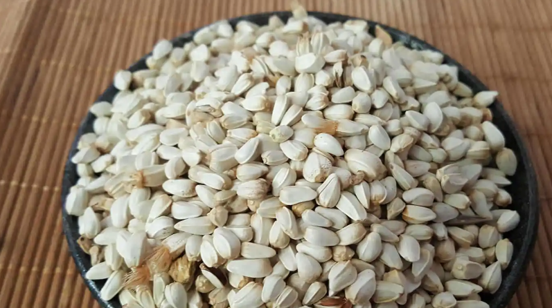 红花籽什么时候种植