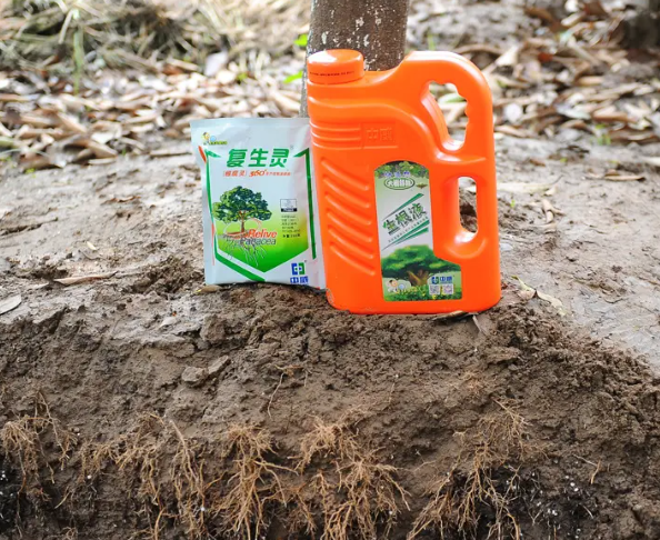 果树生根剂的作用和使用方法