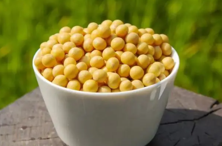 豆子怎样做成喂花的肥料