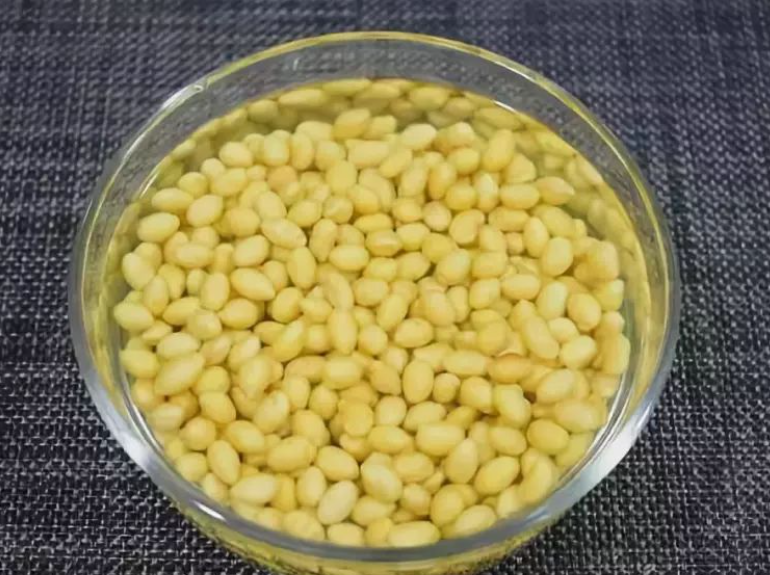 黄豆水浇花怎么不臭