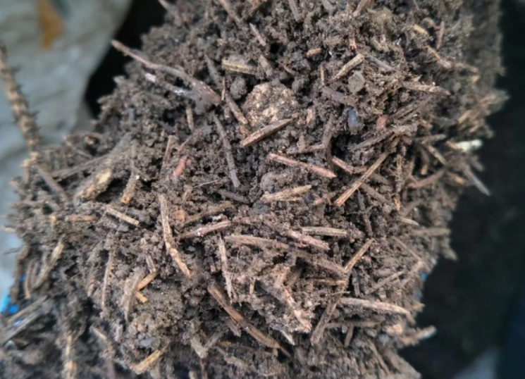 纯松针土不掺土可以种花吗