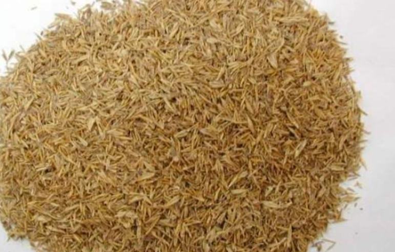 米糠怎么发酵做花肥