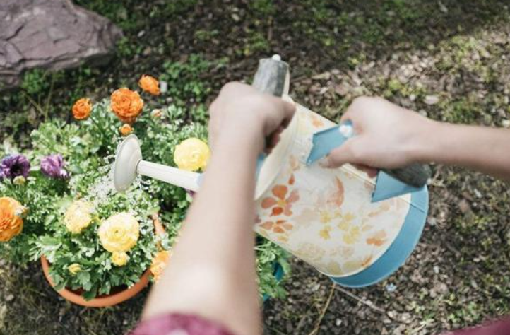 可以用纯牛奶浇花吗