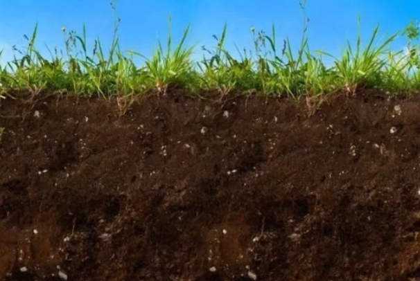 花盆土太湿怎么干的快