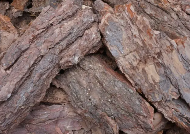 松树皮做肥料效果如何