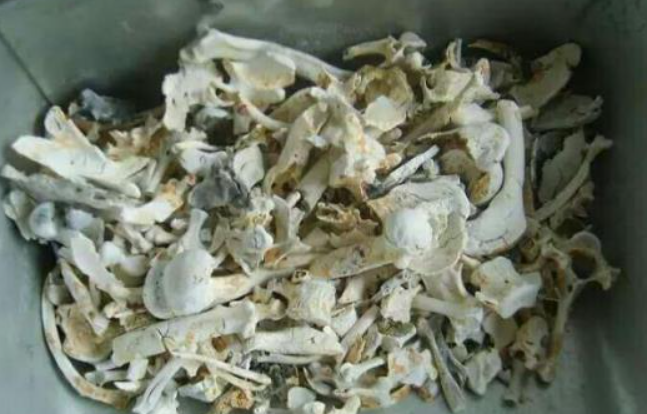 骨头烧成灰能做花肥吗