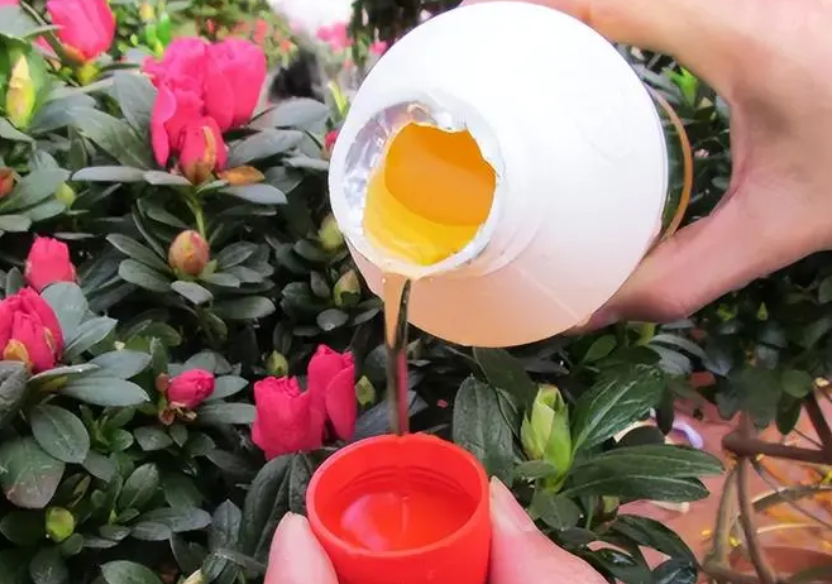 营养液浇花有用吗