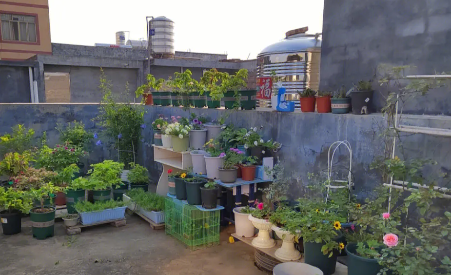 楼顶花园的风水问题