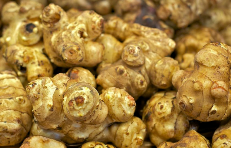 洋姜可以种在树荫下吗