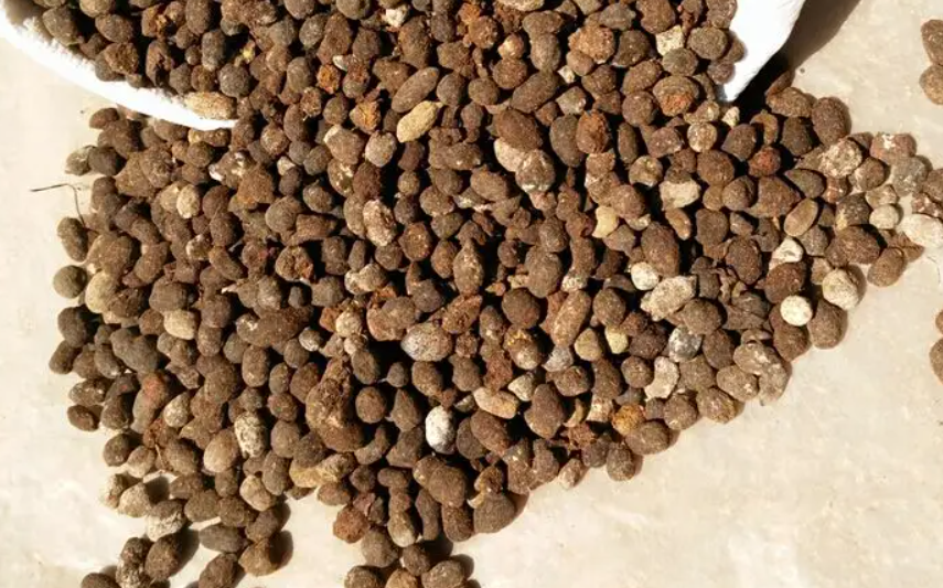 花肥的正确使用方法