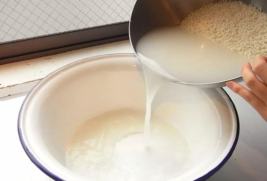 淘米水加红糖发酵多久浇花最好