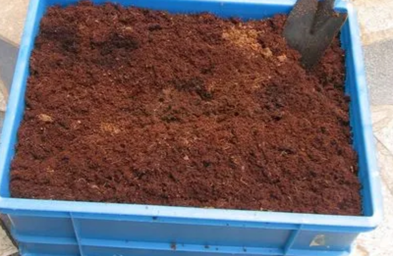 椰砖土能养兰花吗