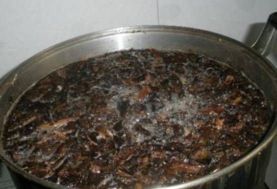 柳树枝泡水的功效与作用