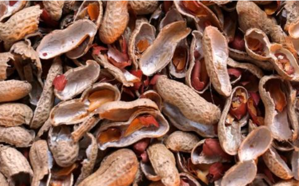 熟花生壳能掺花土里么