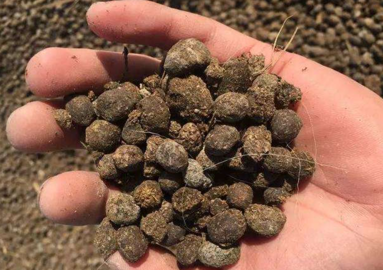 种花用什么粪最好