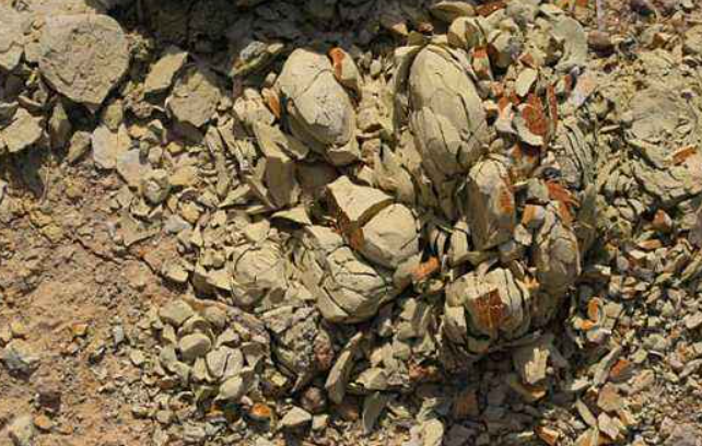 风化石养花优缺点