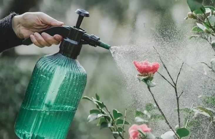 小苏打加水能浇花吗
