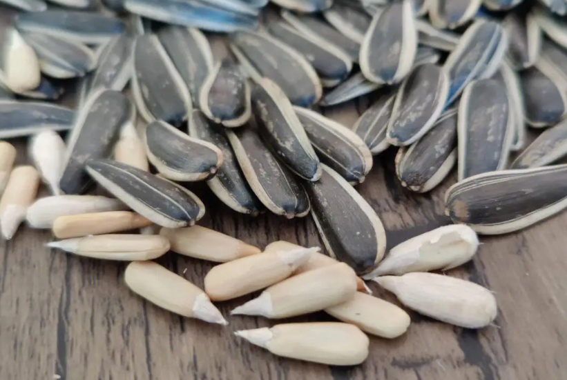 葵花籽怎么种什么时候种