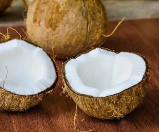 椰子是经济作物吗