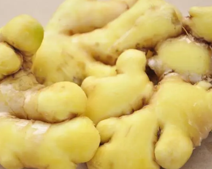 生姜什么时候挖最好