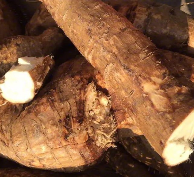 葛根什么时候挖最好