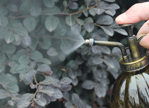 抽油烟机油可以浇花吗