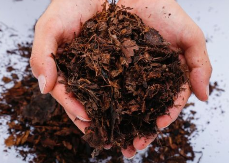 树叶可以做肥料种菜吗