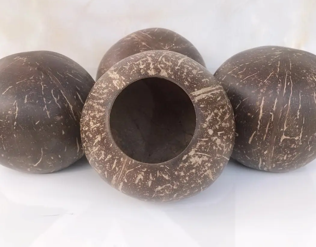 椰子壳做花盆的方法